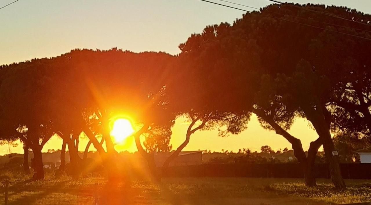 Sublime Sun & Van - By Meco Stays Alfarim Dış mekan fotoğraf